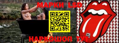 гашик Сланцы