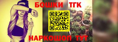 гашик Сланцы